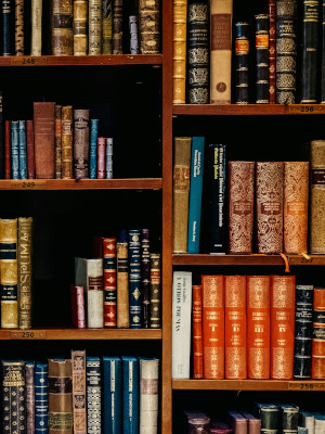 PaperInsight